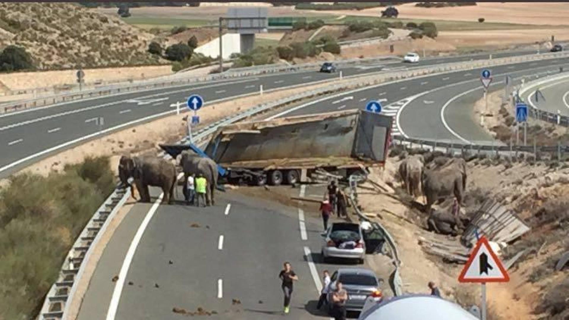 Vuelca un camión con elefantes en Pozo Cañada (Albacete)