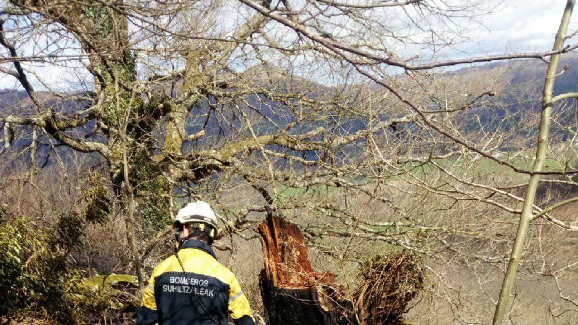 Un incendio quema 14 hectáreas, cuatro de arbolado, entre Elbete y Arizkun