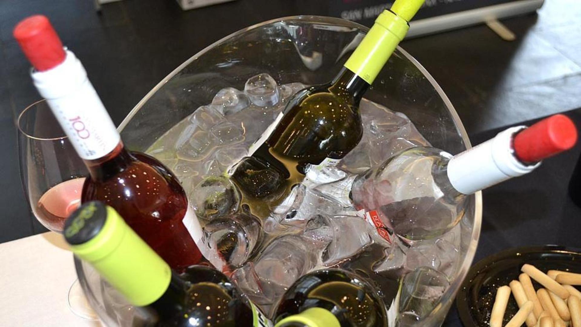 El festival del vino navarro busca llegar a un nuevo público, los jóvenes. La tercera edición de Vinofest, que comenzó este viernes y se despedirá este sábado, ofrece degustar más de 60 vinos por 5 euros.