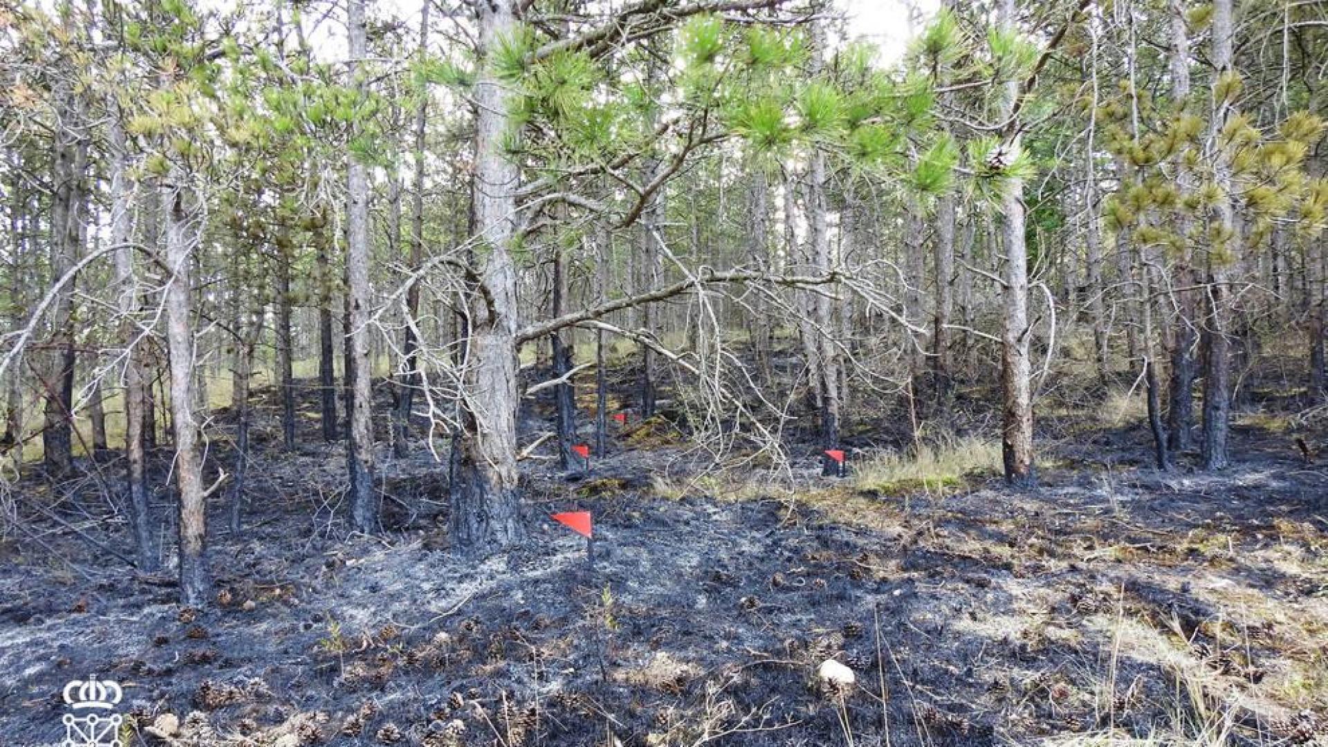 Denunciado el autor del incendio de Puente la Reina