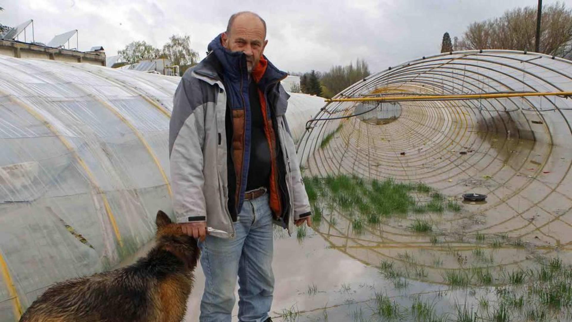Más de 7.000 lechugas perdidas en Frutas y Verduras Zabalza