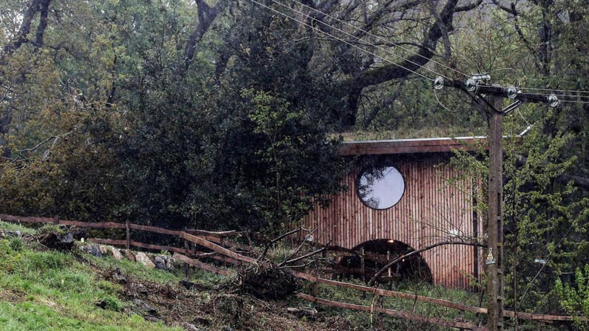 Un niño de 5 años, herido grave por la caída de un árbol en San Sebastián