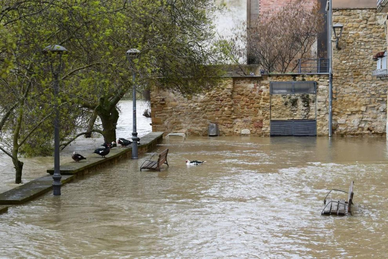 Riada en Estella