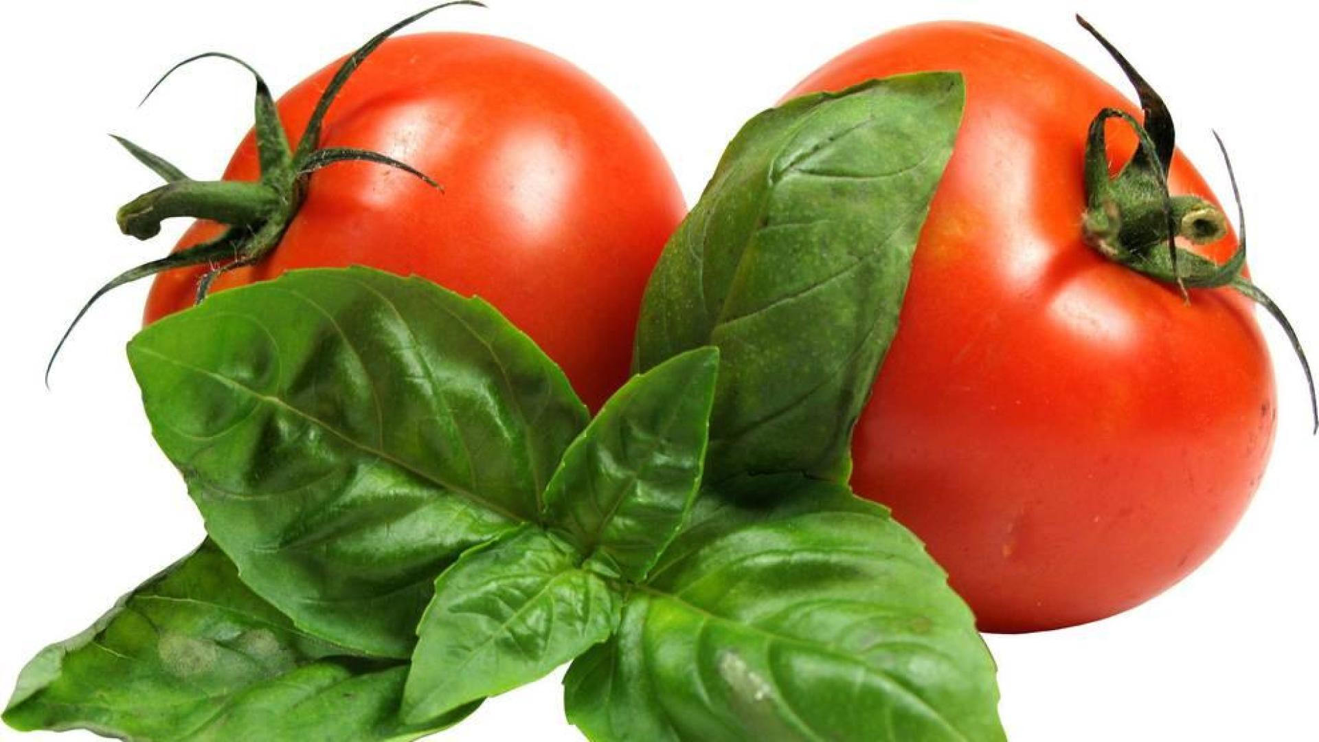 Tomates