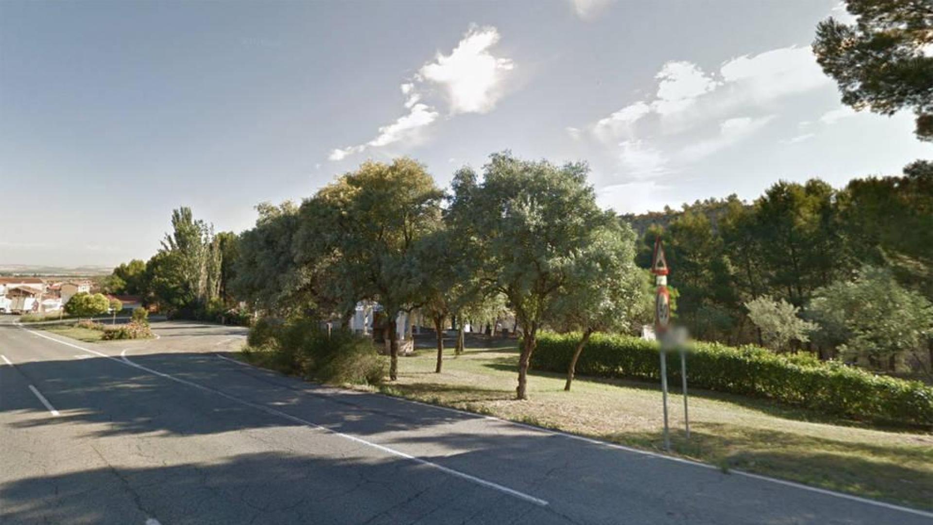 Cae un pino a la N-121 y corta los carriles sentido Castejón y Caparroso