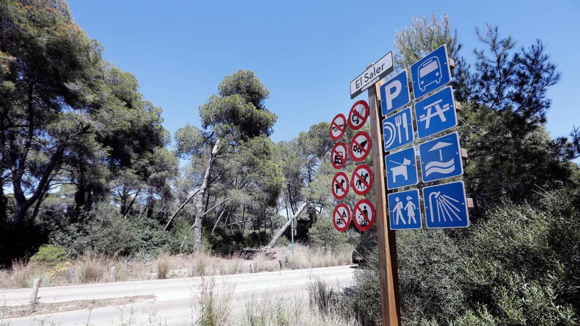 Investigan en Valencia el caso de una mujer herida y un hombre ahorcado