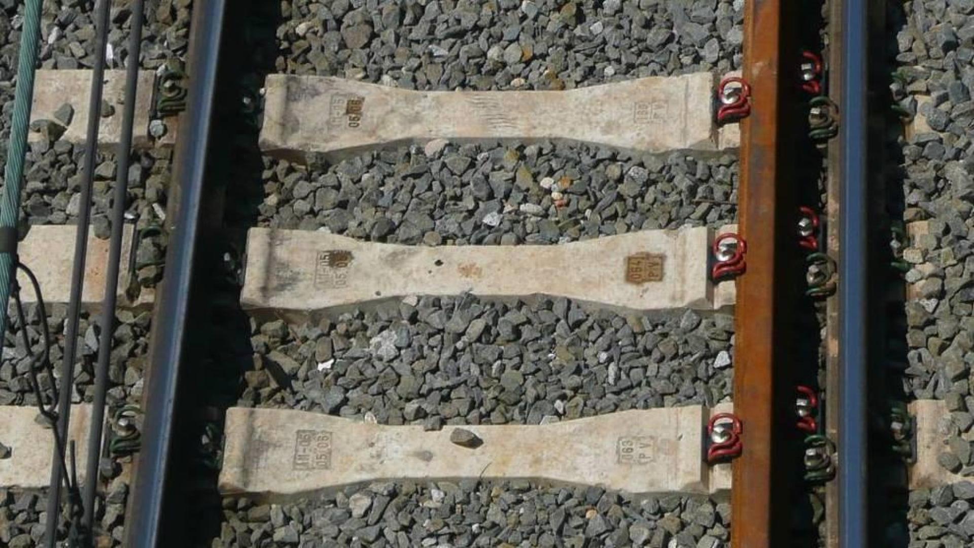 Adif promueve la creación de un tramo ferroviario de pruebas y ensayos en Corella