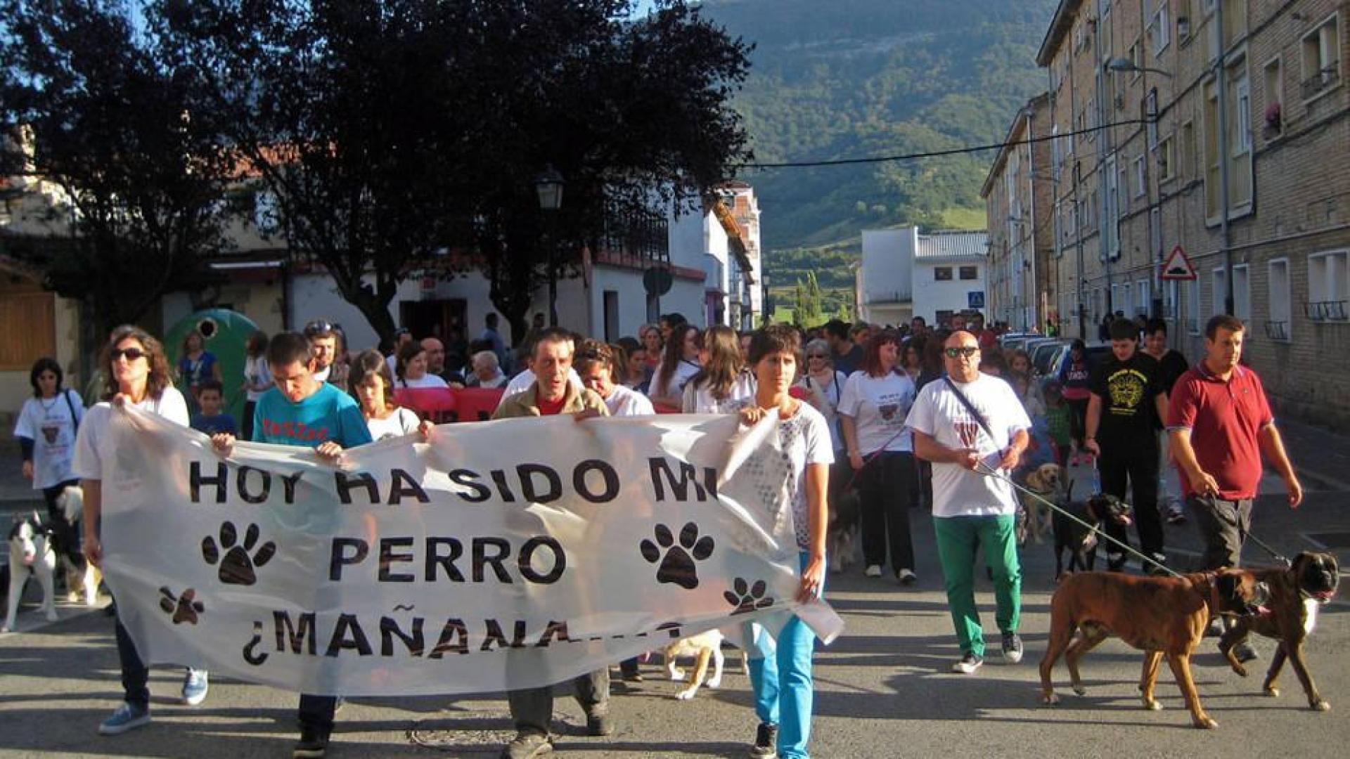 Alsasua recupera el servicio de recogida de animales abandonados