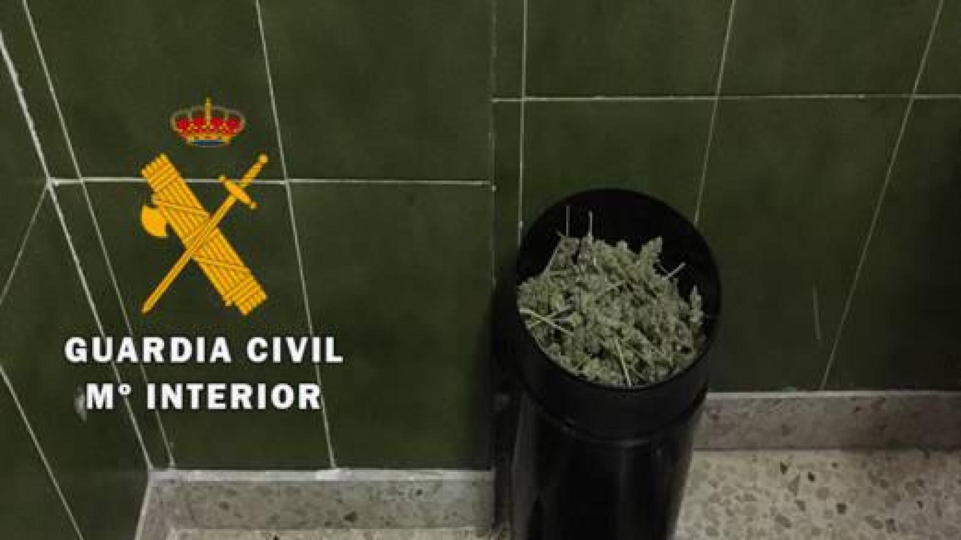 Intervienen 200 gramos de speed y otras drogas en Alsasua, Arguedas y Olave