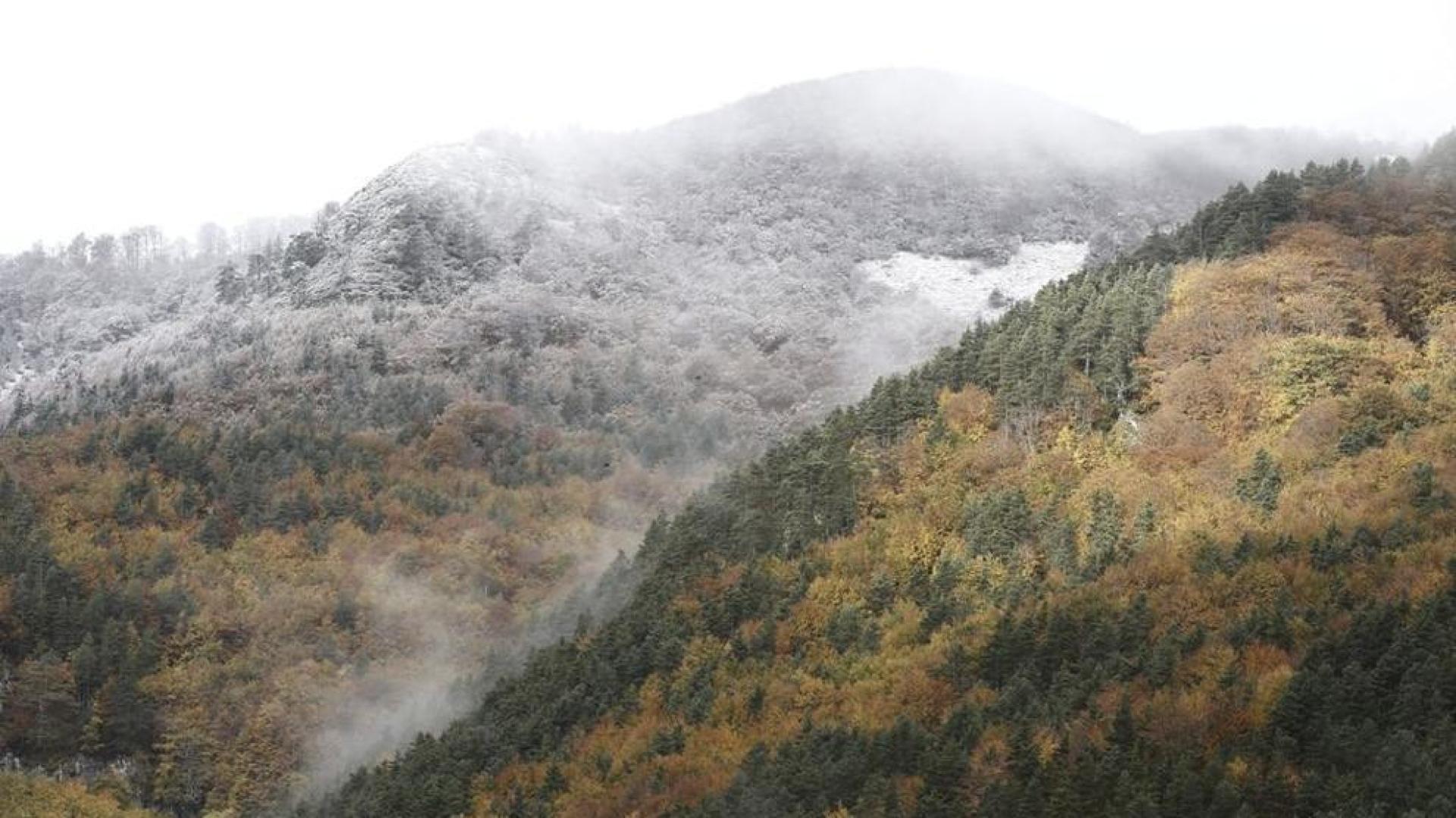 Nubes, lluvia d&eacute;bil y m&aacute;ximas de 15&ordm;C para este domingo en Navarra
