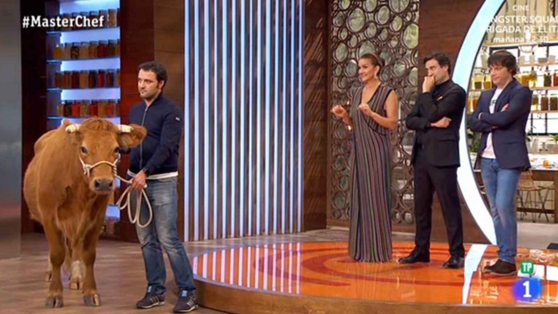 'MasterChef' cabrea a los fans al hablar de cómo descuartizar una vaca viva