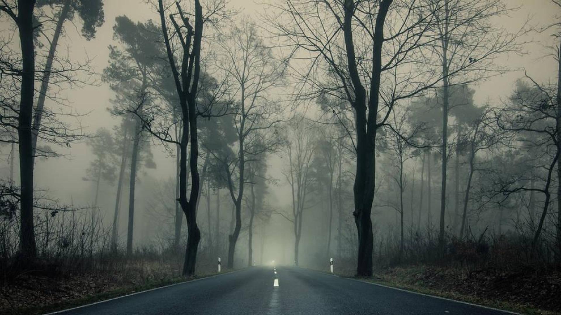 Consejos de seguridad: estas son las carreteras más peligrosas