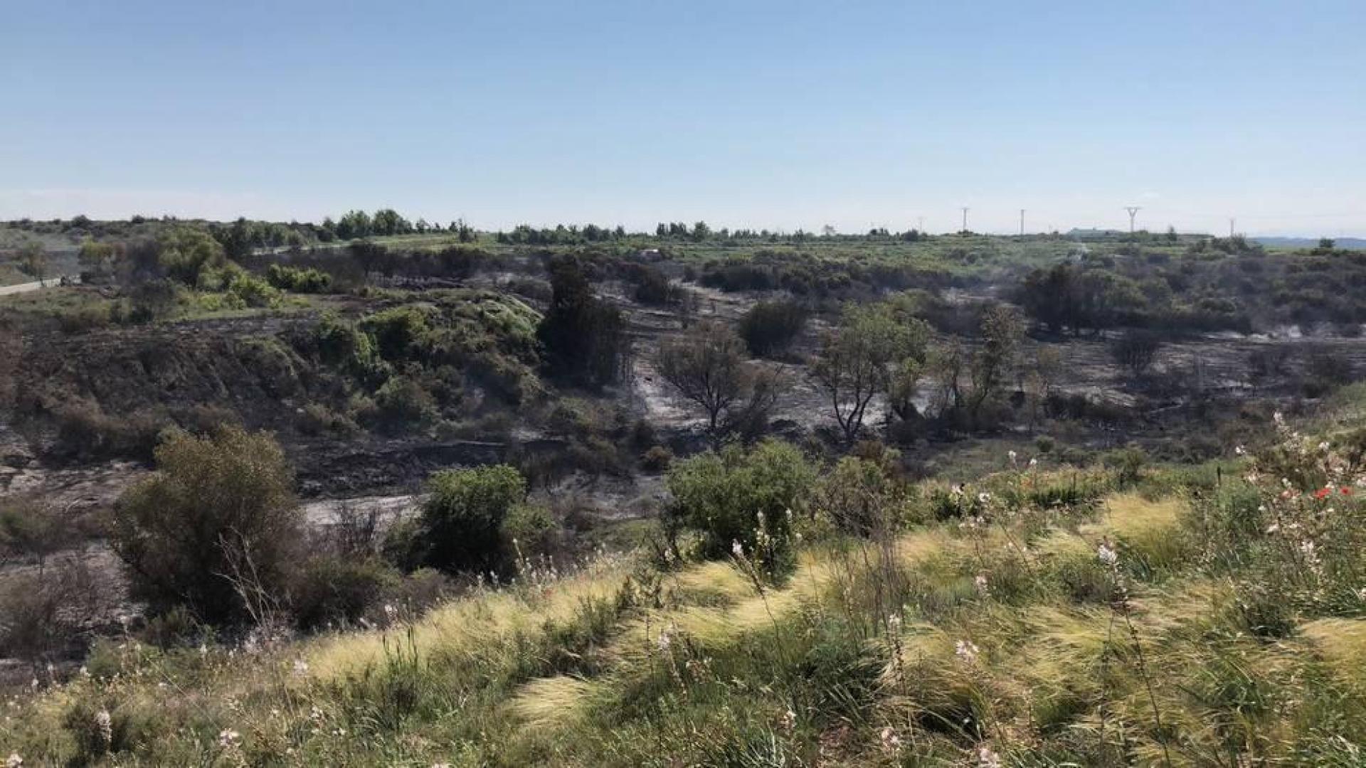 Un incendio calcina diez hectáreas en Mélida