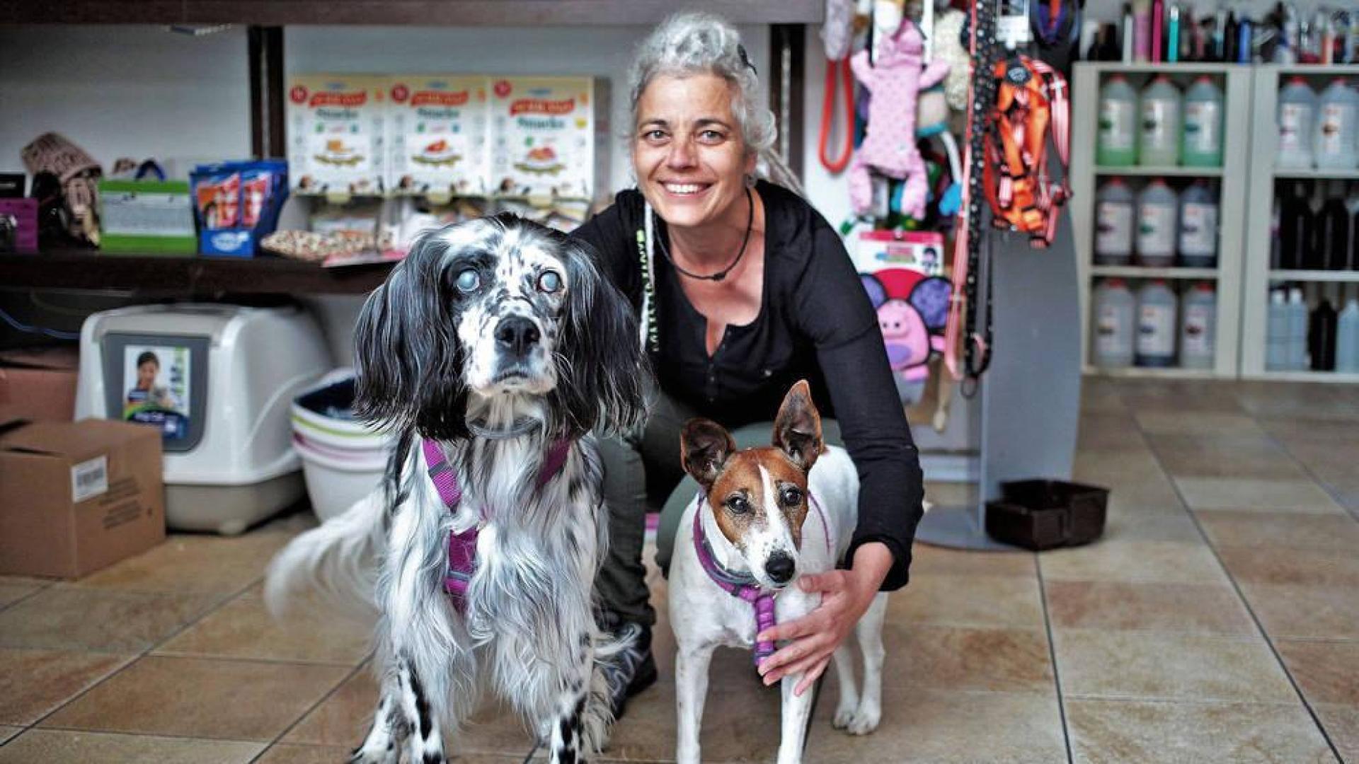 Un refugio para los animales sin techo en una peluquería canina de Ansoáin