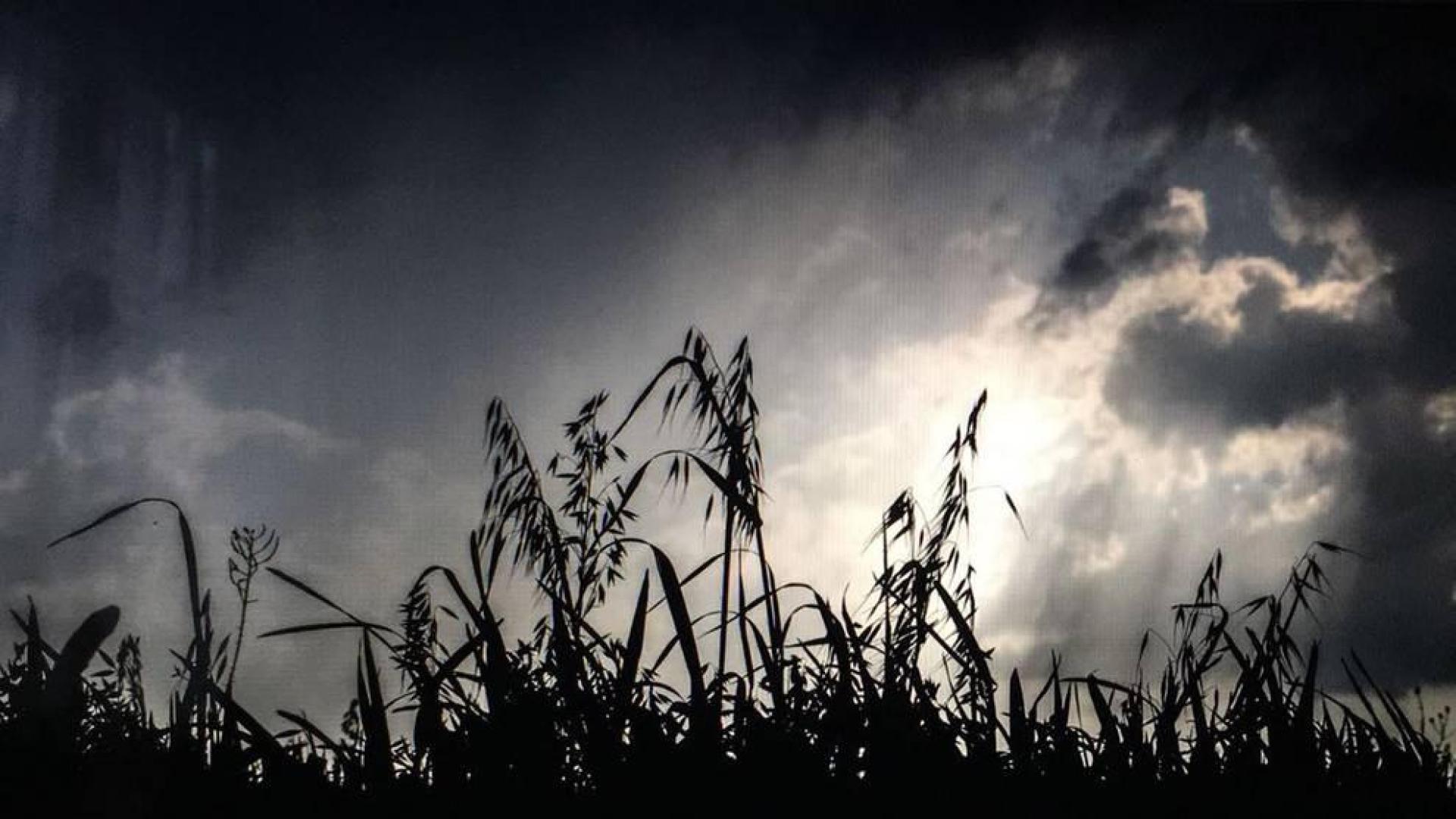 Lunes con tormentas intensas por la tarde en Navarra en una semana de bochorno