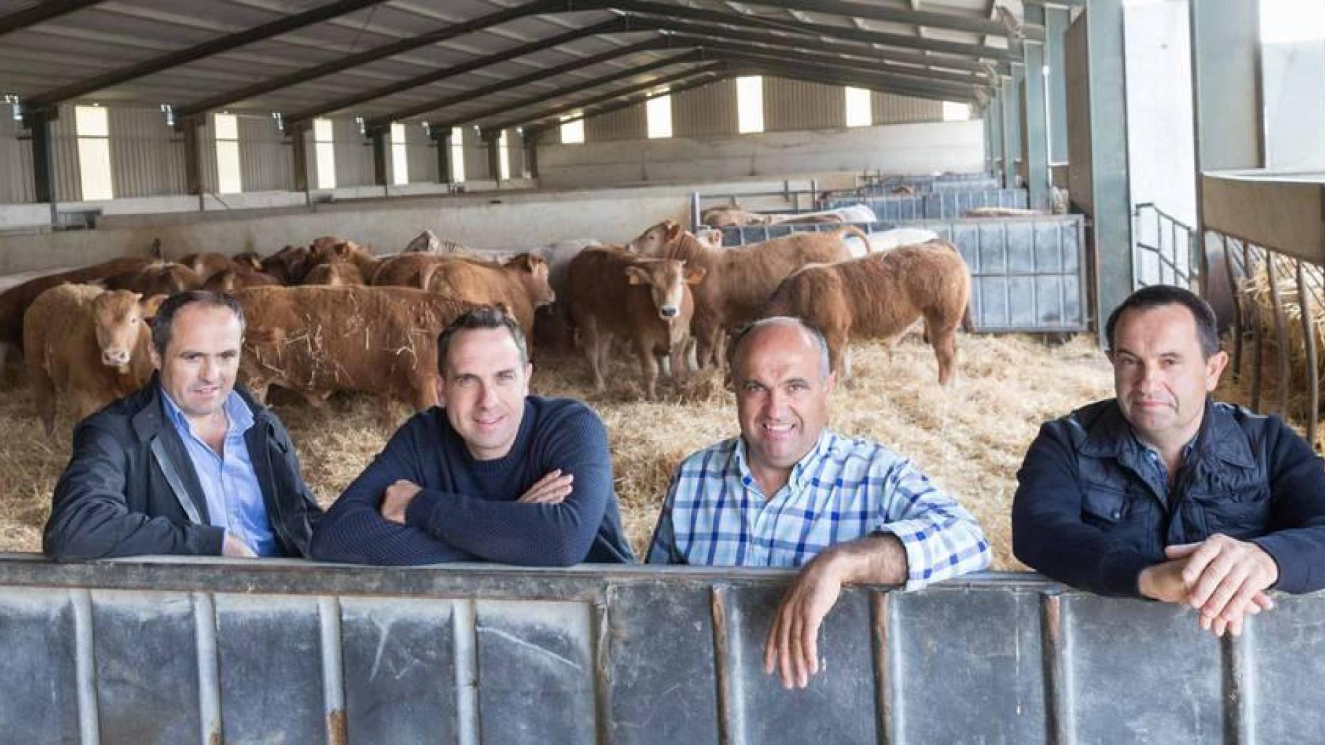 Ganados Barberena suministra a Mercadona 270 animales a la semana