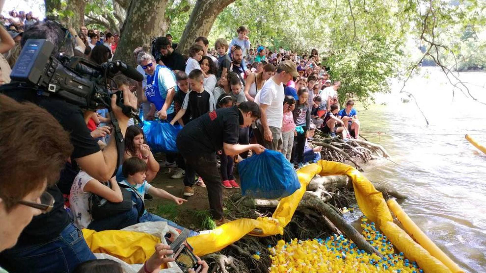 Carrera de patos de goma en el Arga por los enfermos neurodegenerativos