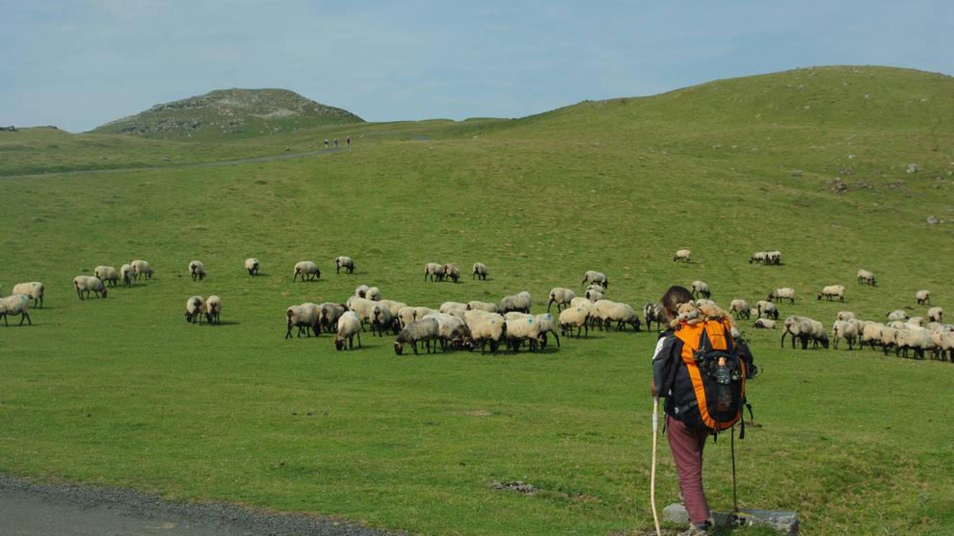 Rescatada una peregrina alemana de 60 años entre Ibañeta y Roncesvalles
