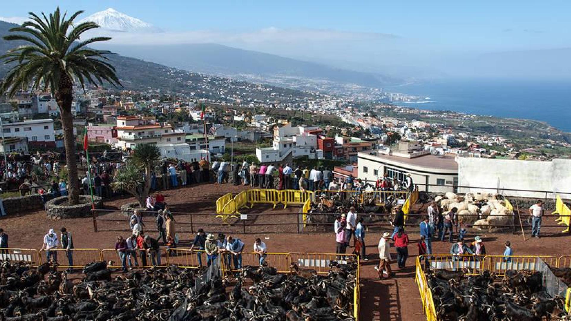 La Guardia Civil investiga la muerte de un bebé de cinco meses en Tenerife
