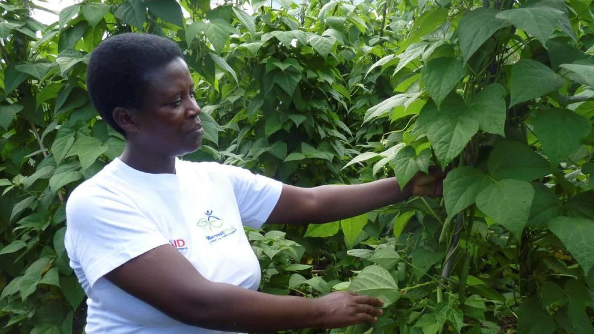 Africanas emprendedoras en el campo buscan salir de la pobreza gestionando su tierra