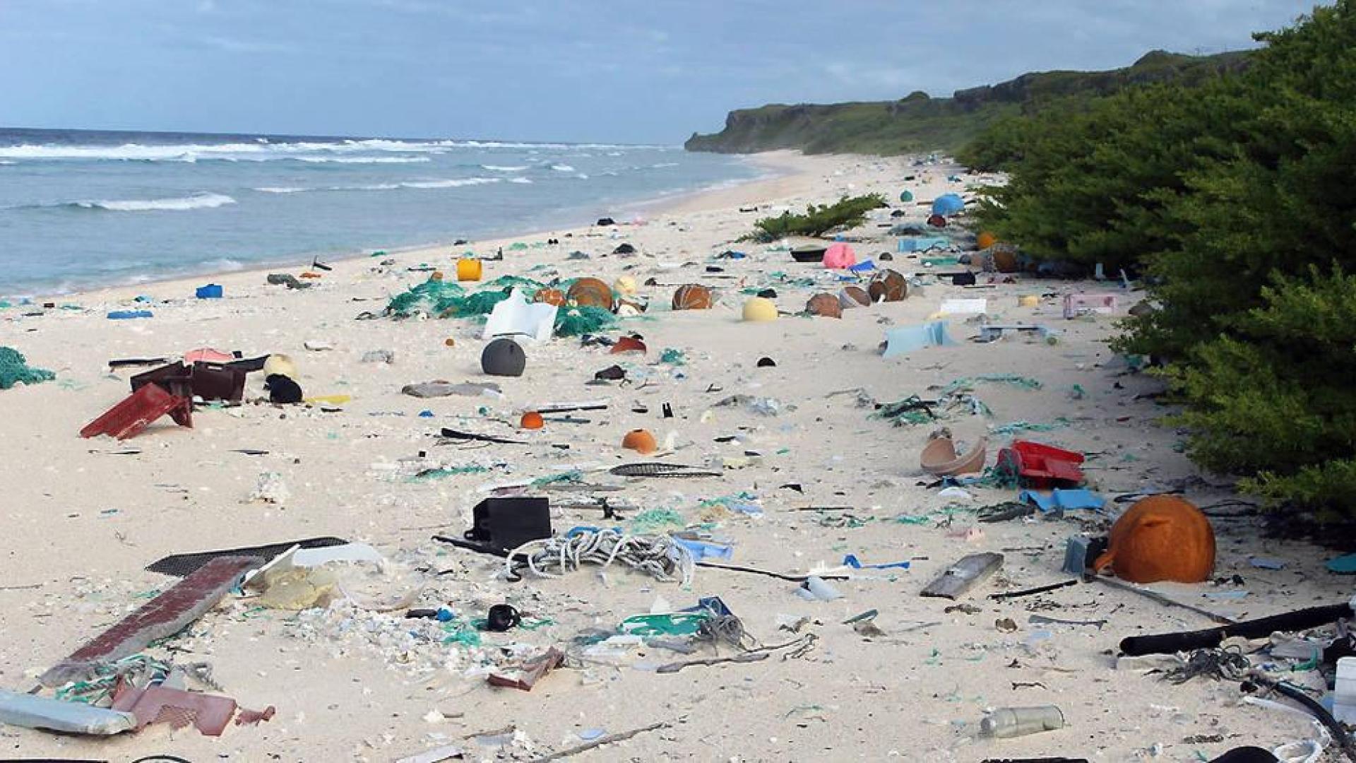 El plástico que flota en los océanos ha aumentado más de cien veces en 40 años