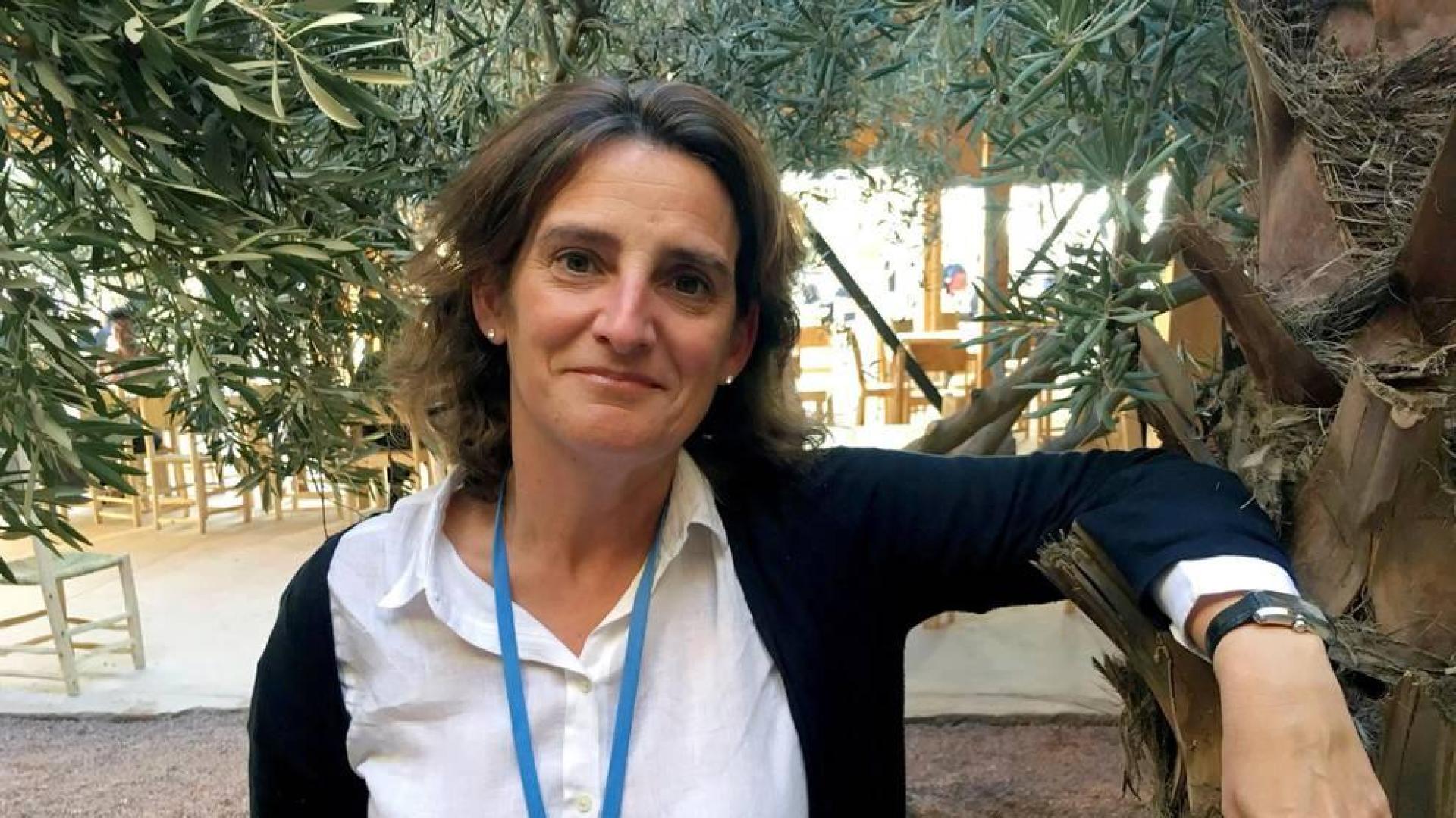 Teresa Ribera, ministra de Energía y Medio Ambiente