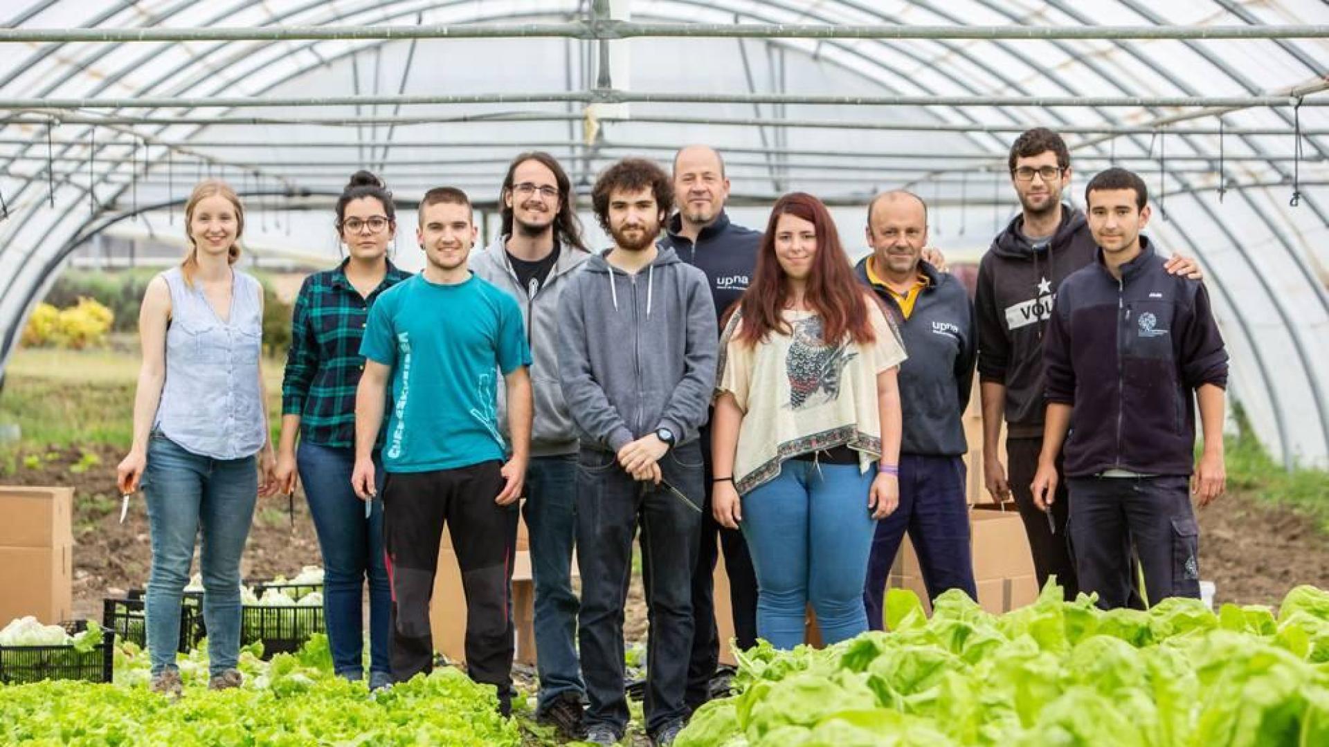 Una huerta en el campus de la UPNA abastece al comedor social París 365