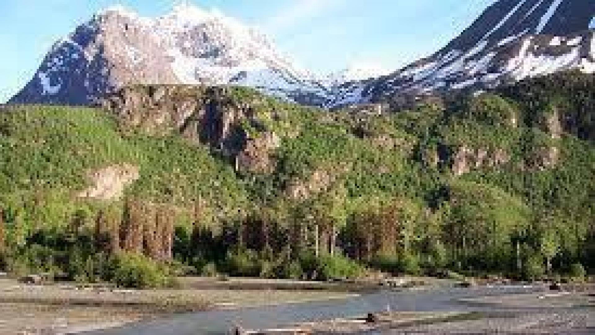 Un montañero desaparecido es hallado muerto tras haber sido atacado por un oso