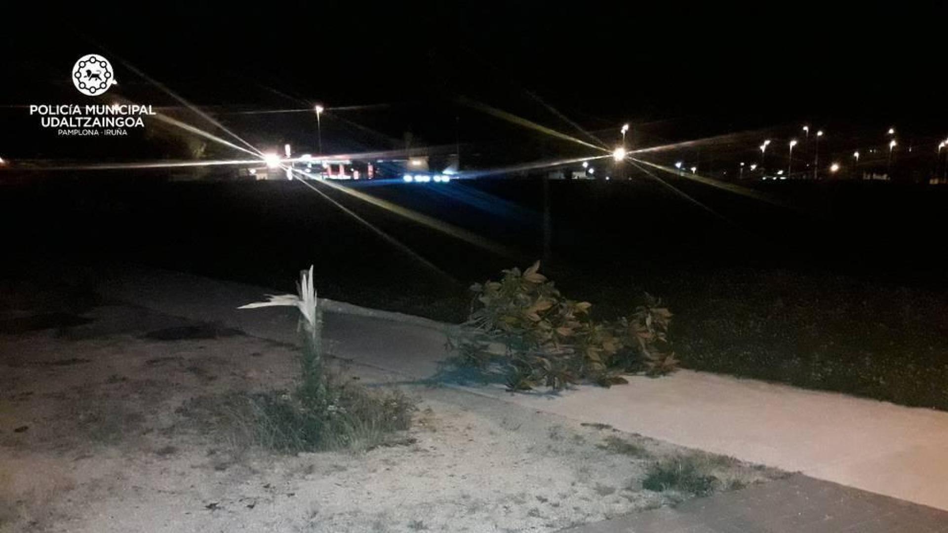 Sorprenden a 6 menores rompiendo árboles en el parque del Ferrocarril de Pamplona