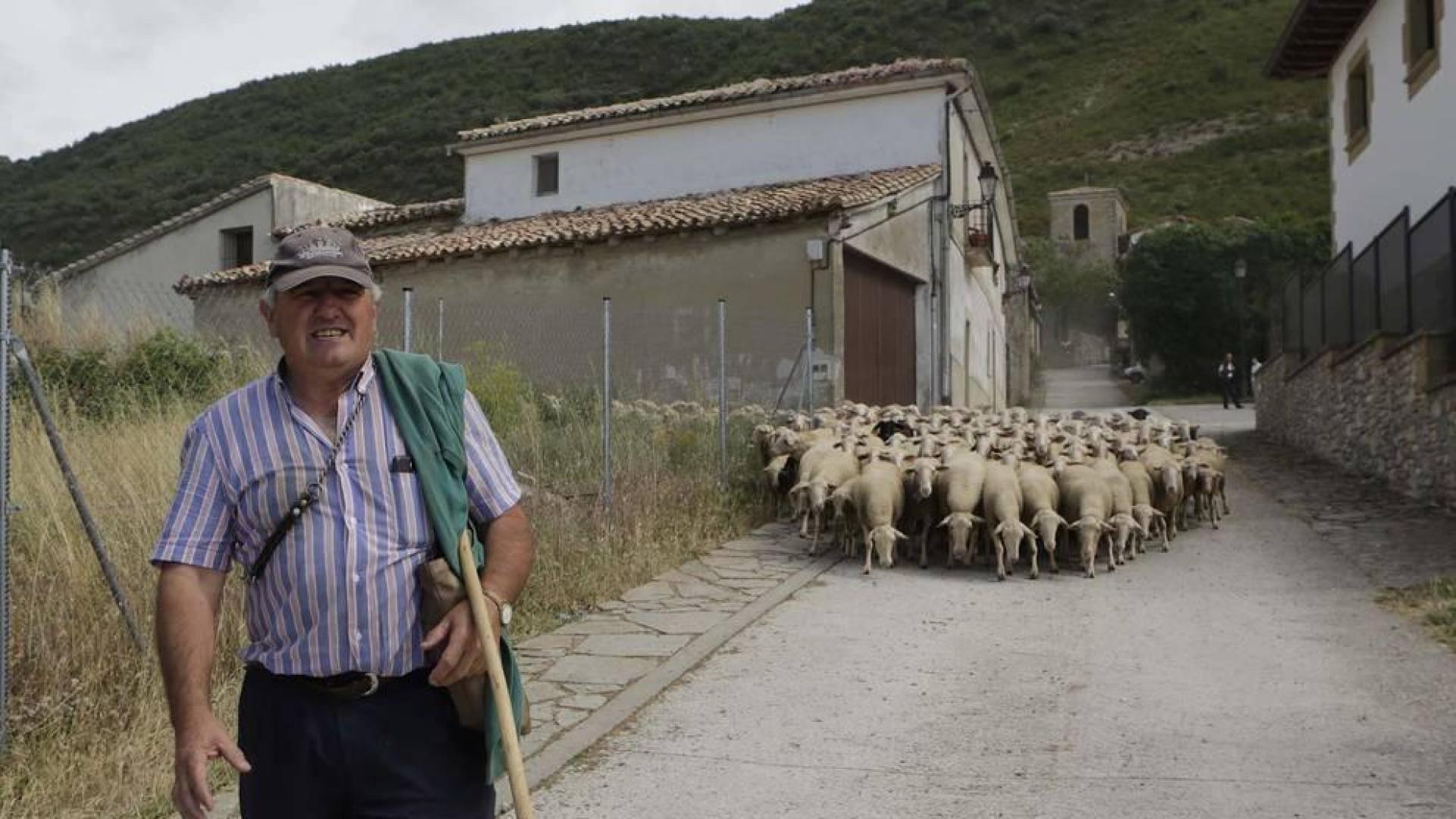 Pastor a diez minutos de Pamplona