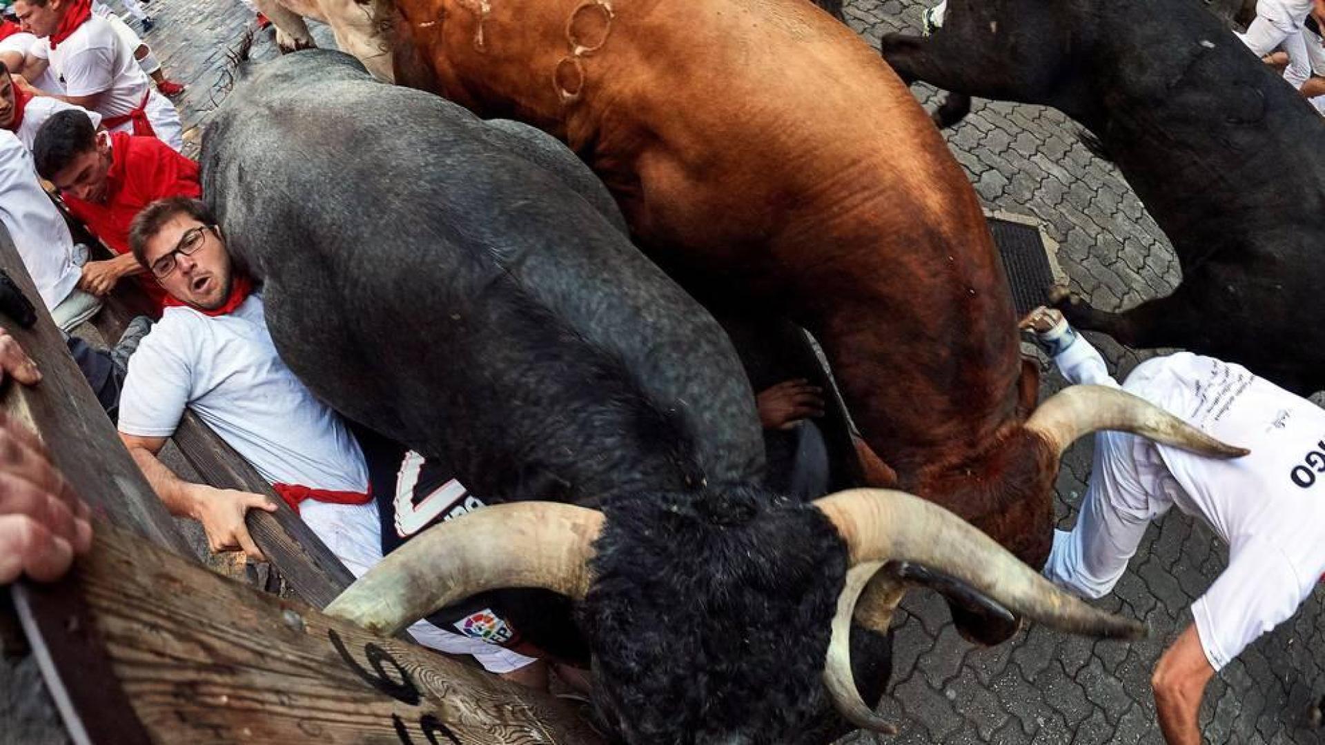 Imágenes del octavo encierro de los Sanfermines de 2018, con toros de la ganadería Miura.