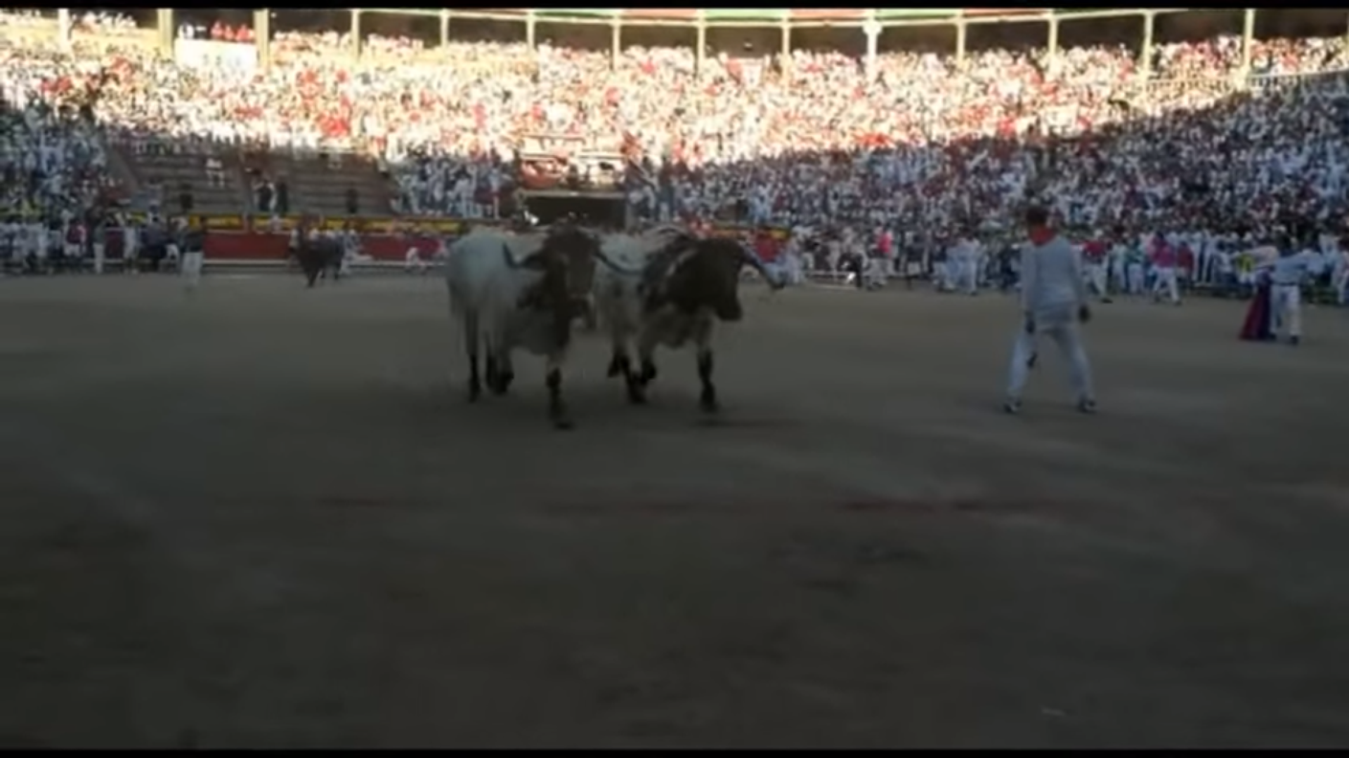 Sancionado con 600 € un corredor irlandés por llamar la atención de los toros