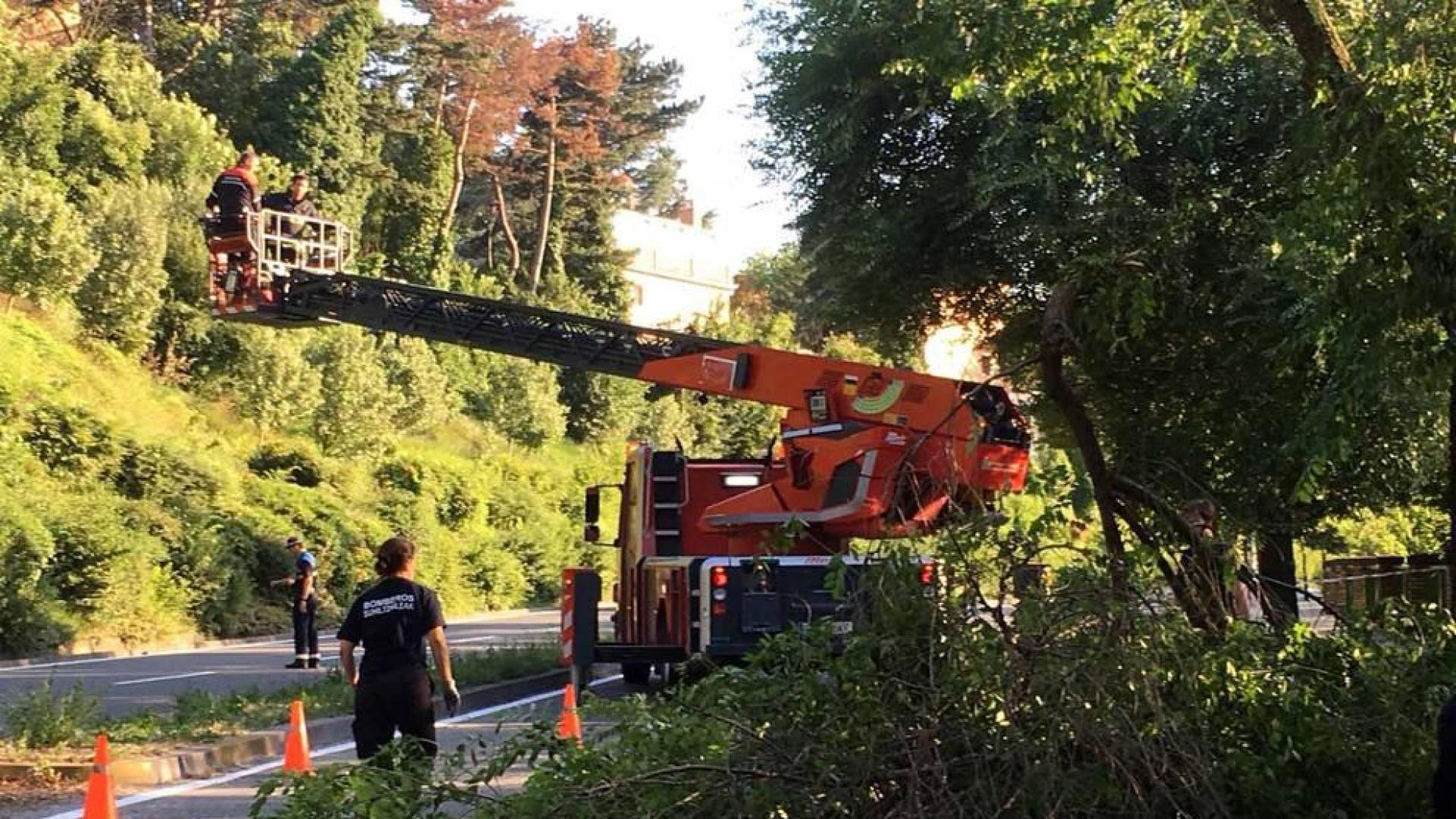 Un árbol caído ha obligado este martes por la tarde a cerrar al tráfico la cuesta de Beloso, en sentido Pamplona, según ha informado la Policía Municipal. Al lugar han acudido tanto agentes de la Policía Municipal como efectivos de Bomberos. Han realizado labores de saneo para tratar de desocupar la vía lo antes posible. Las ramas caídas ocupaban los dos carriles en dirección a Pamplona.