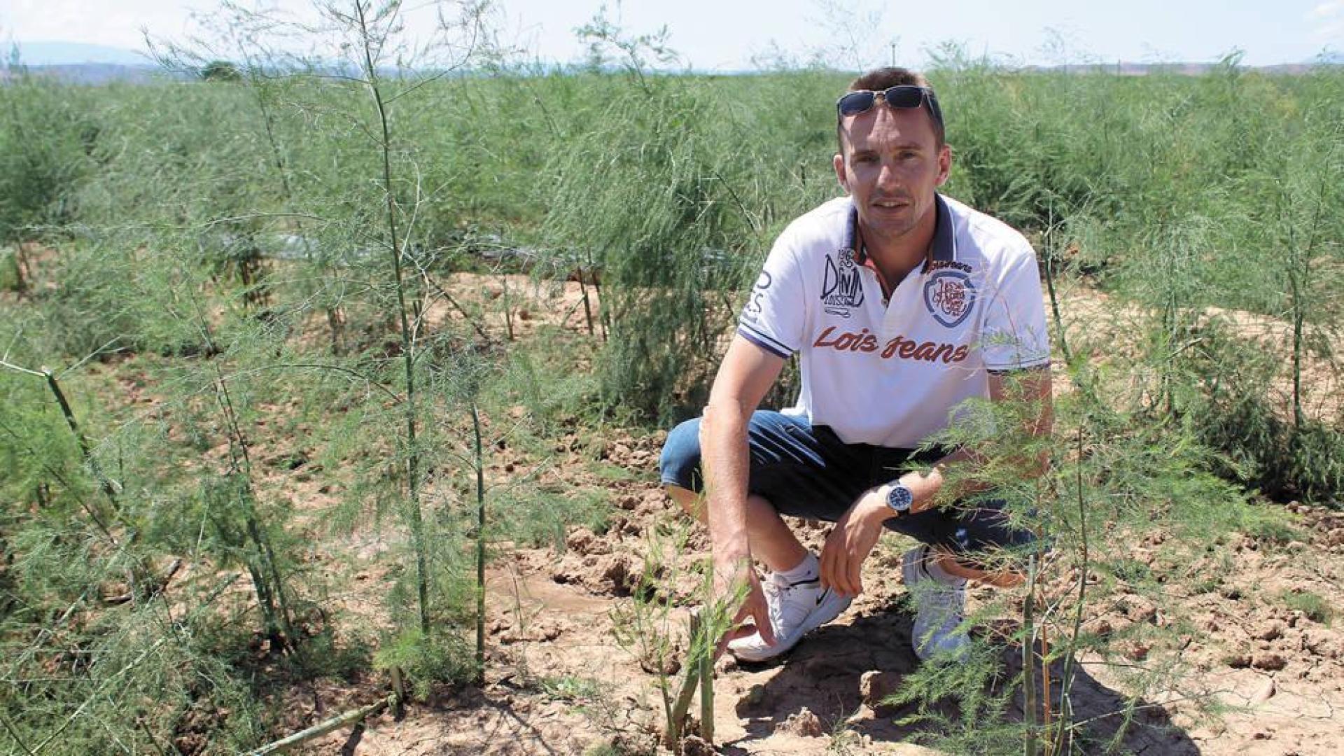 Las tormentas causan daños en cultivos y viviendas de Tierra Estella