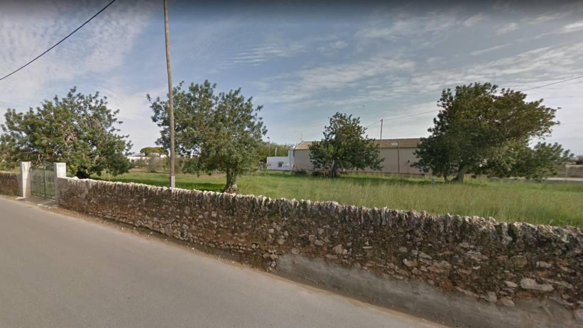 Guardia Civil interviene 397 perros de raza en criadero ilegal en Castellón