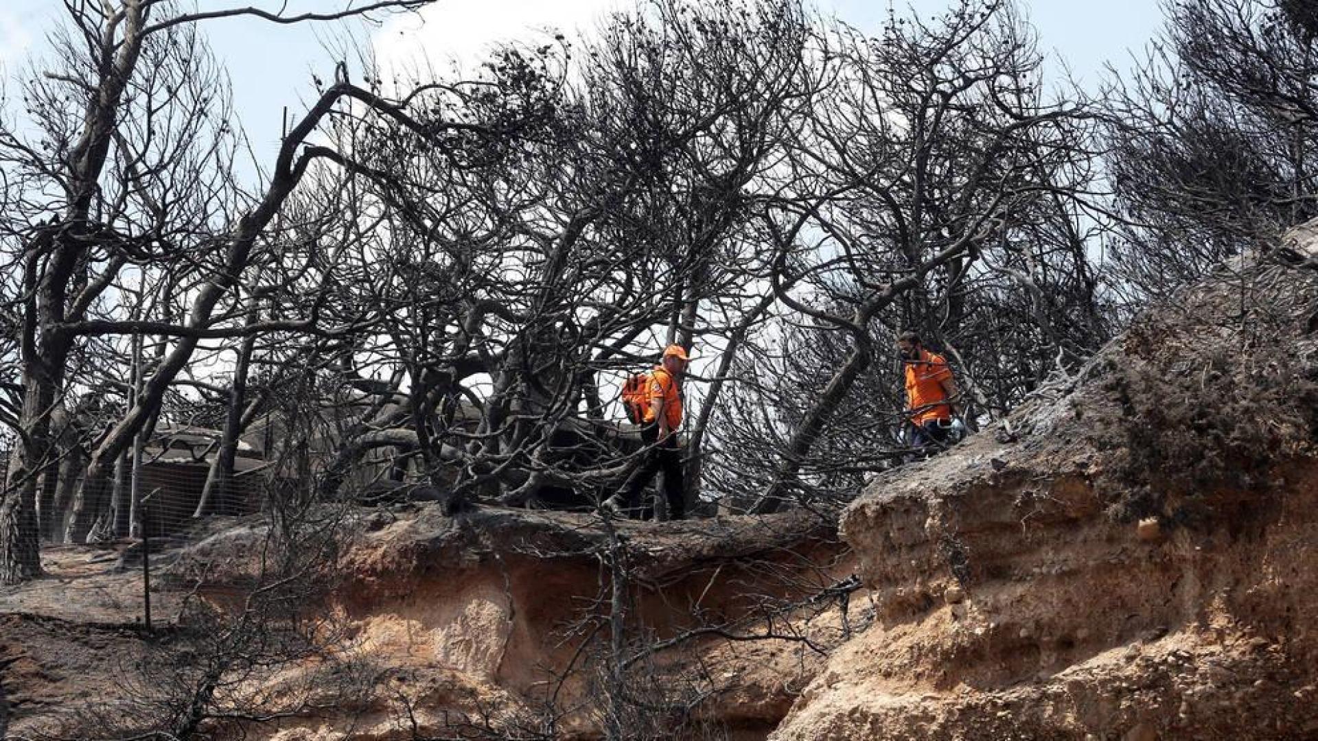 Grecia se vuelca en la búsqueda de desaparecidos tras los trágicos incendios