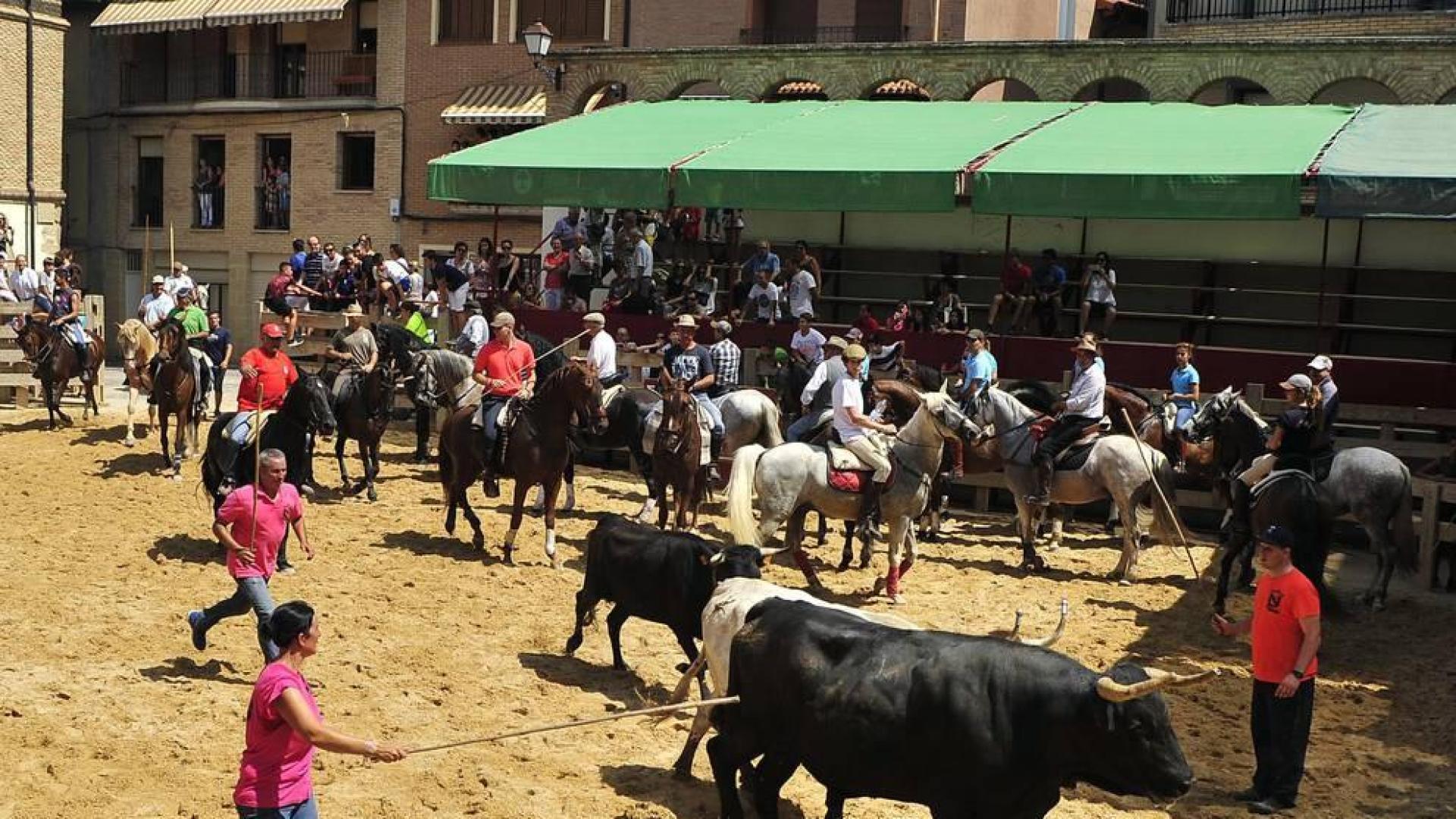 Los asistentes disfrutaron de una jornada donde la degustación de cordero, la trashumancia o el concurso de recortadores fueron los protagonistas