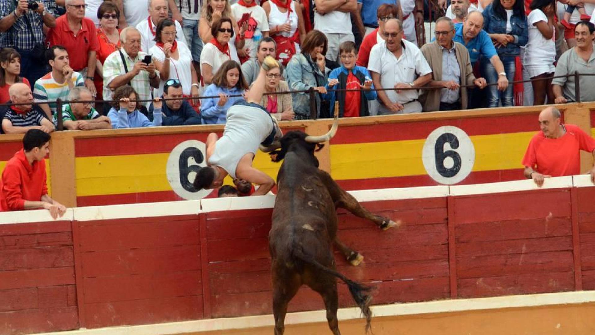 Las reses bravas dejan en la suelta de vaquillas del último día de fiestas de Tudela, 29 de julio, varios heridos.