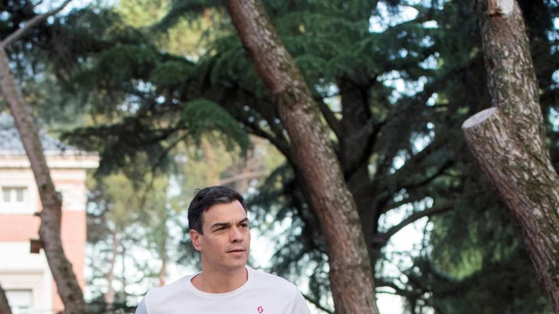 Sánchez comienza el día con una "carrera matinal" por los jardines de Moncloa