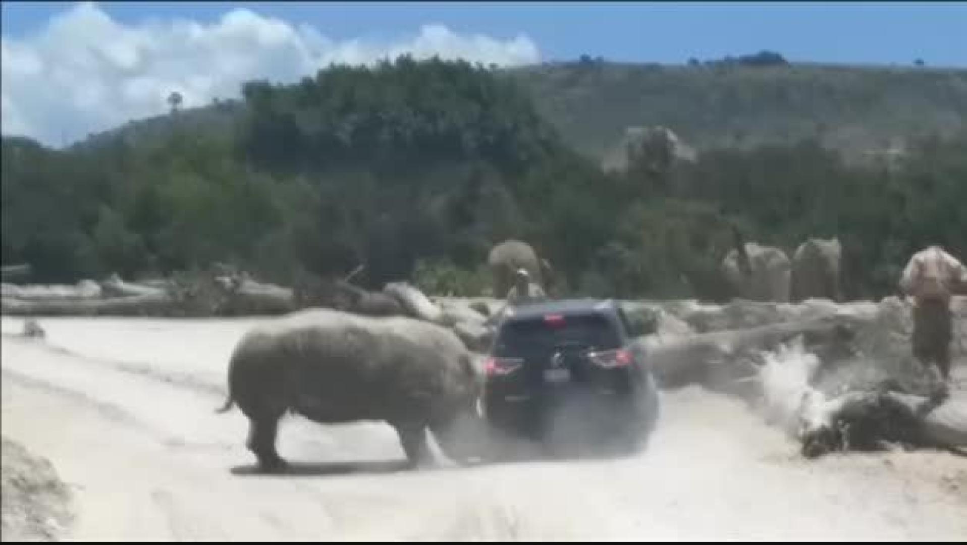Susto en un safari de México