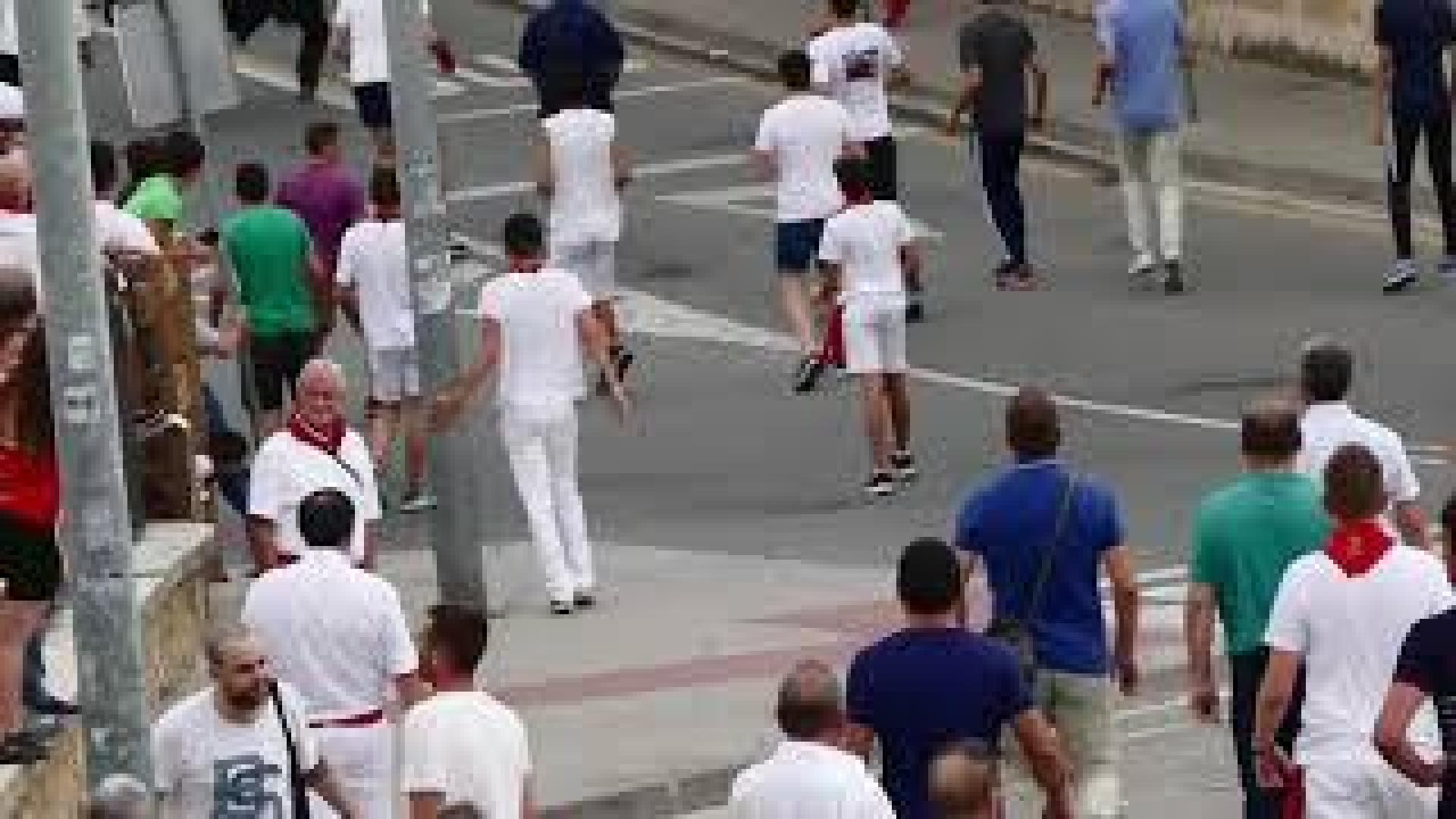 Cuarto encierro de Estella
