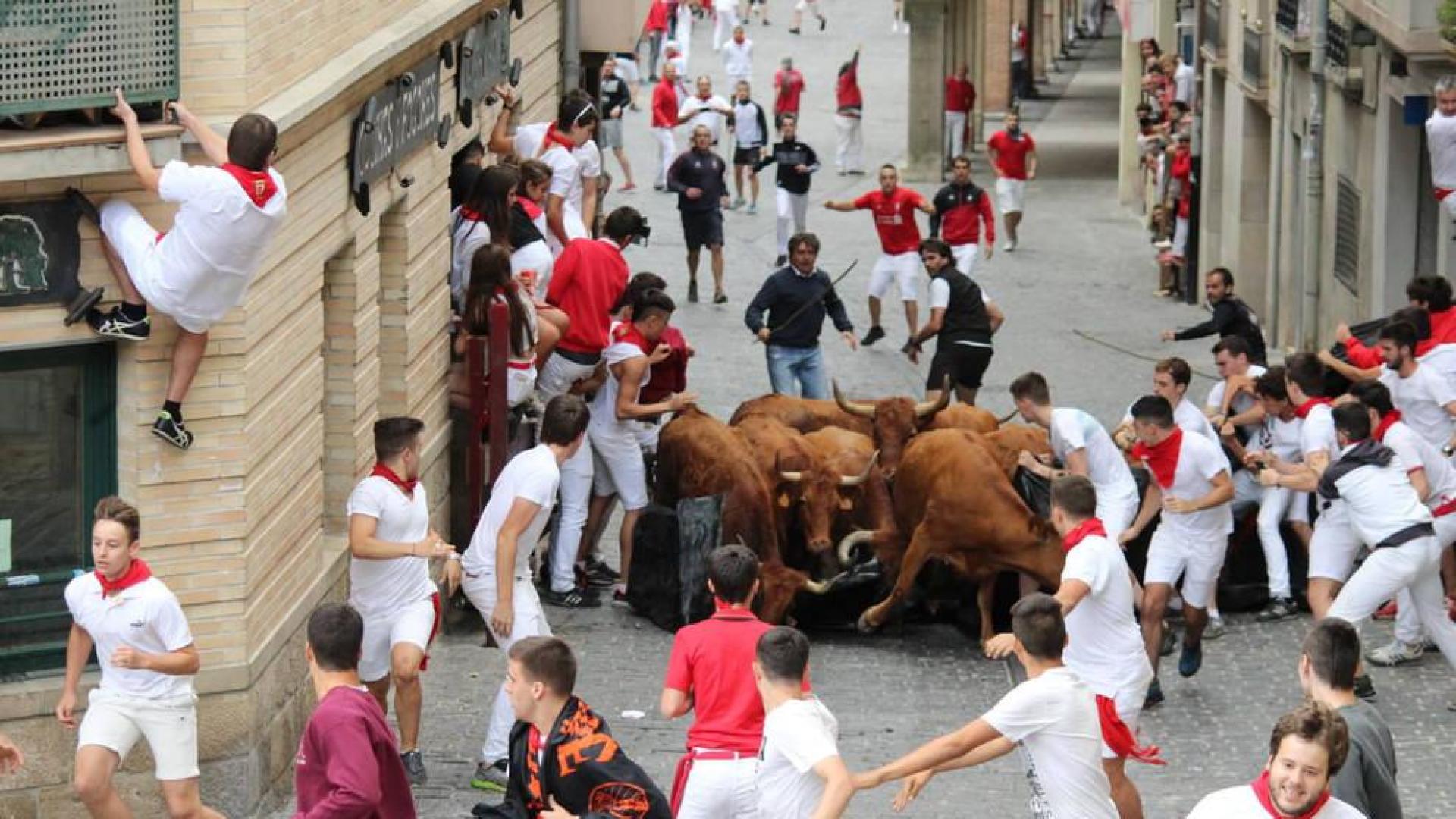 Contusión en la cabeza de un joven en el encierro de Estella
