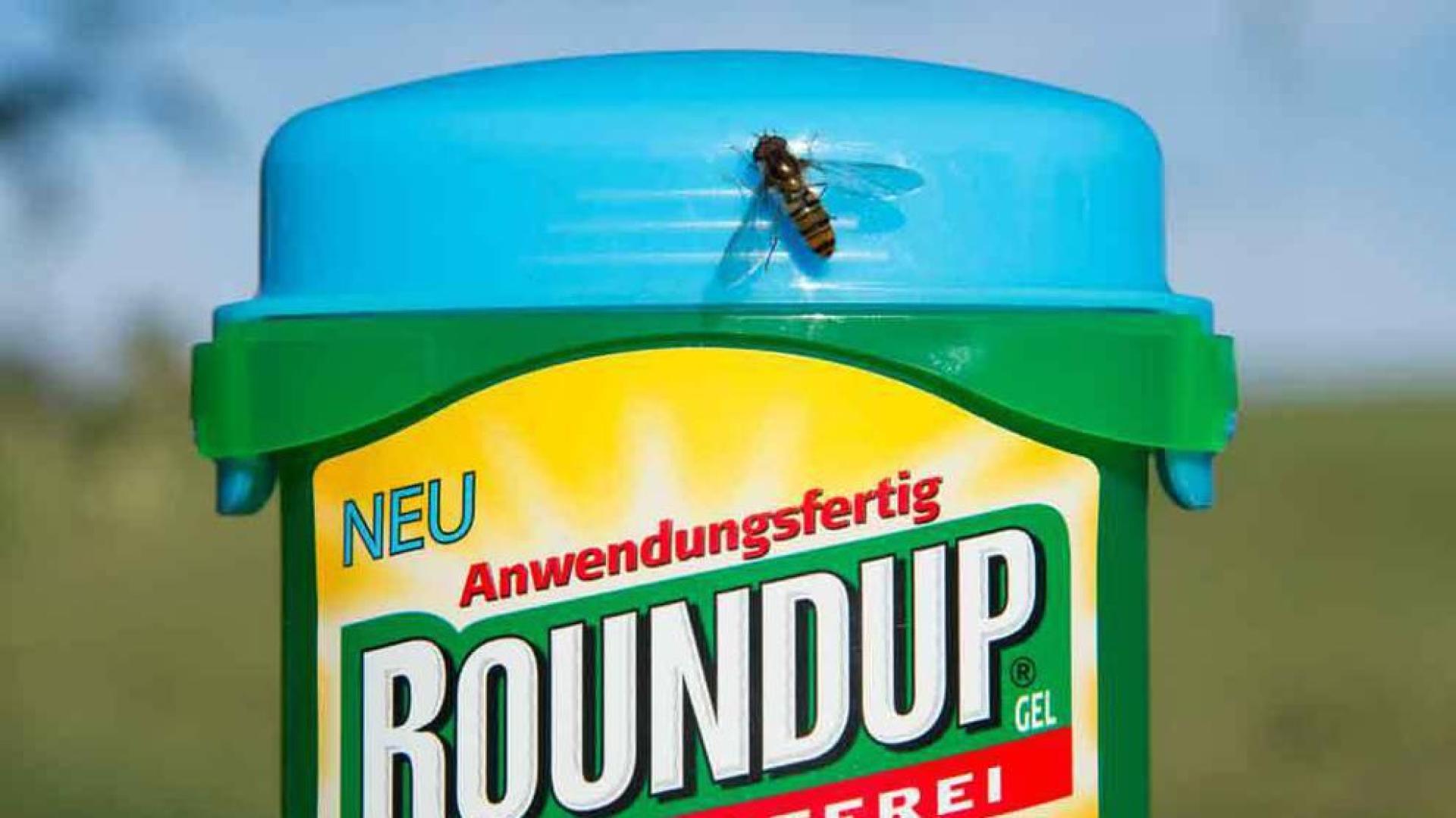 Monsanto pagará 289 millones de dólares por los efectos cancerígenos del glifosato