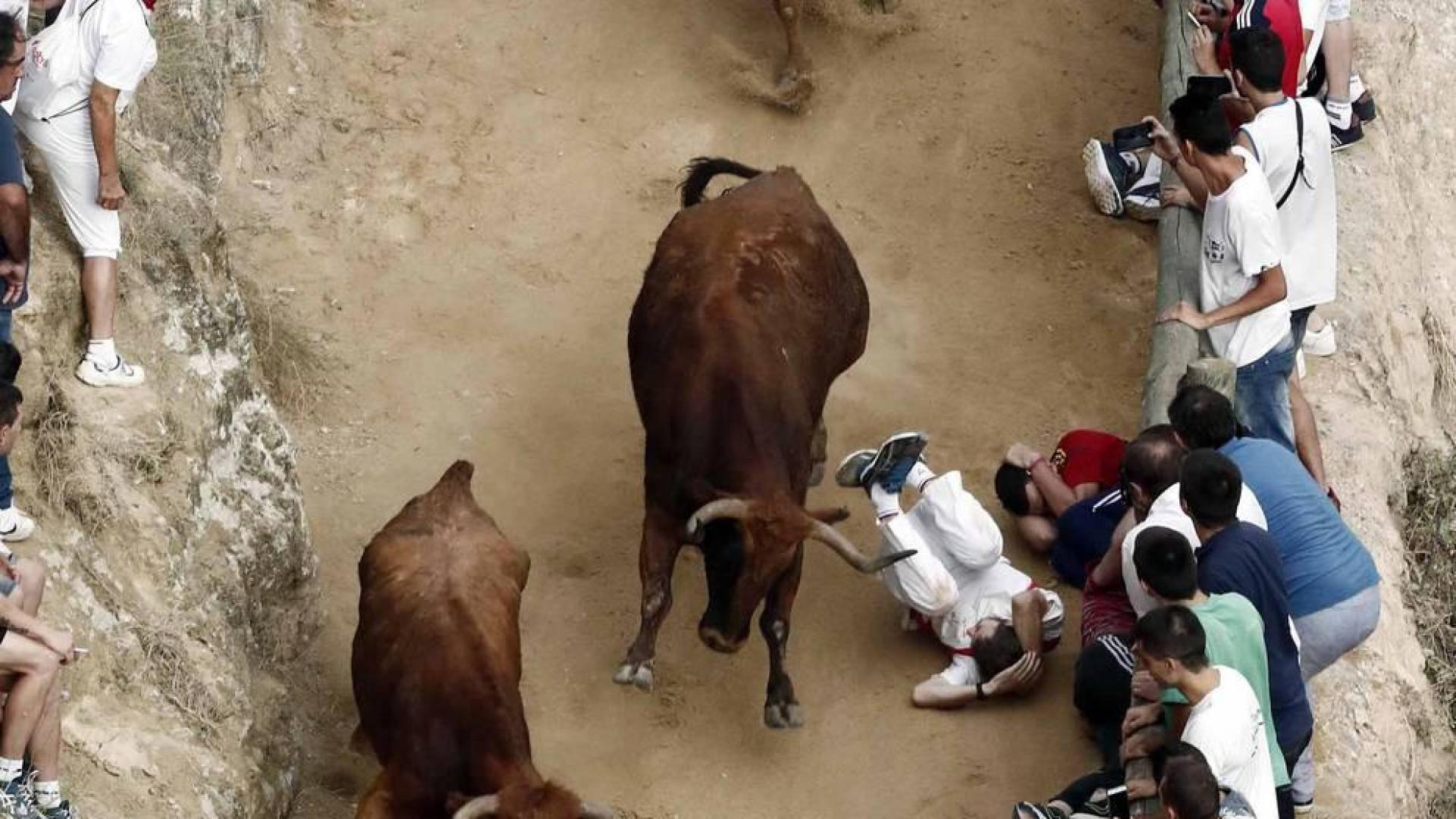 Un primer encierro del Pilón rápido y con sustos pero sin heridos