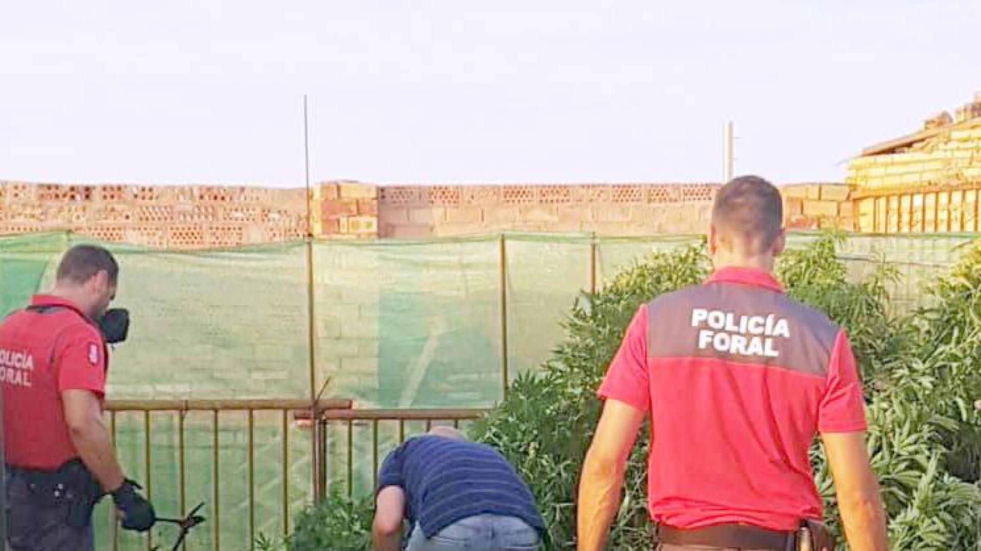 Detenidas tres personas por delitos contra la salud pública en Tudela