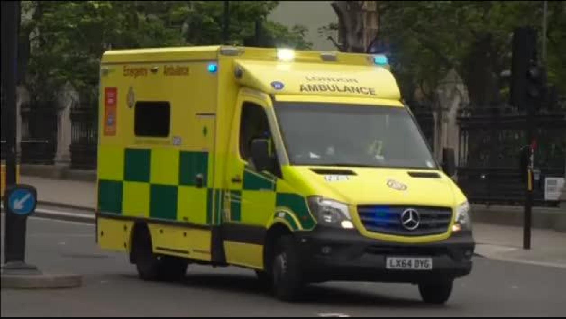 Detenido un hombre tras estrellar su coche contra las barreras del Parlamento británico
