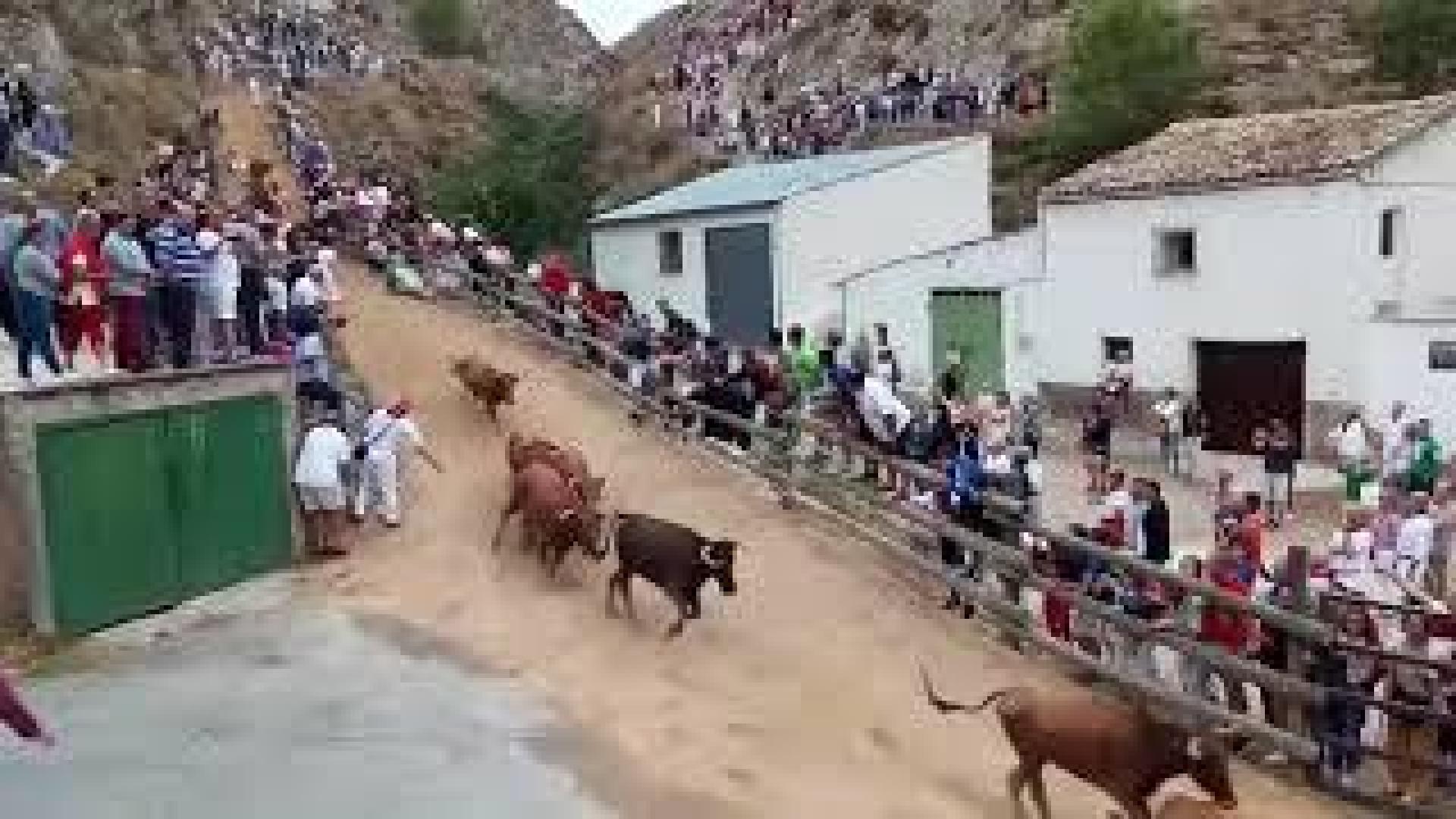 Tercer encierro del Pilón de las fiestas de Falces 2018, 14 de agosto