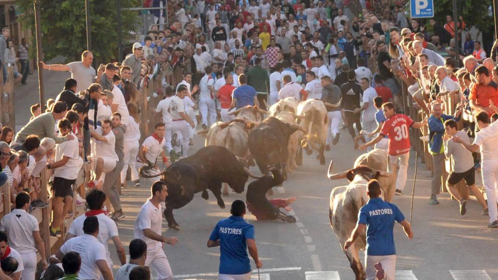 Un pamplonés, corneado dos veces en el muslo derecho en el primer encierro de Tafalla