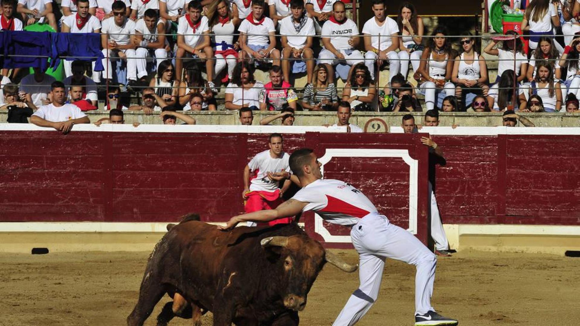 El tafallés Aritz López, revelación del Concurso de Recortadores