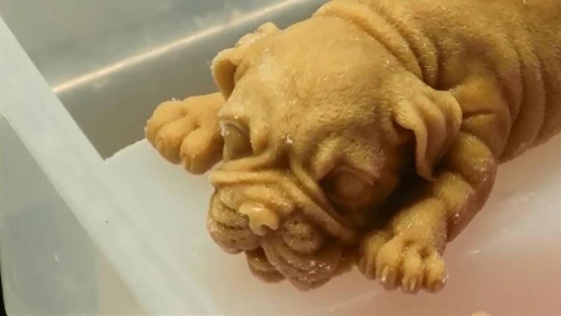 Helados con forma de perro, ¿demasiado realistas para comérselos?